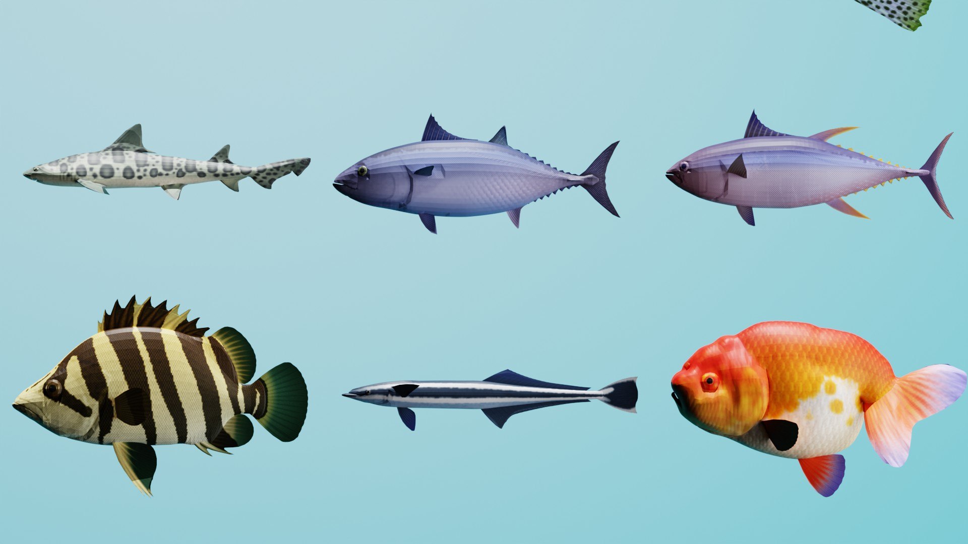 3D Realistic Tropical Marine Fish 3D Model Collection PBR Materials  Full UVs https://p.turbosquid.com/ts-thumb/mR/YLSIgz/KQ/2/jpg/1779120144/1920x1080/fit_q87/e50991a8a4f2bf9f20697197eb4a102f9f882049/2.jpg
