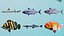 Realistic Tropical Marine Fish 3D Model Collection PBR Materials  Full UVs