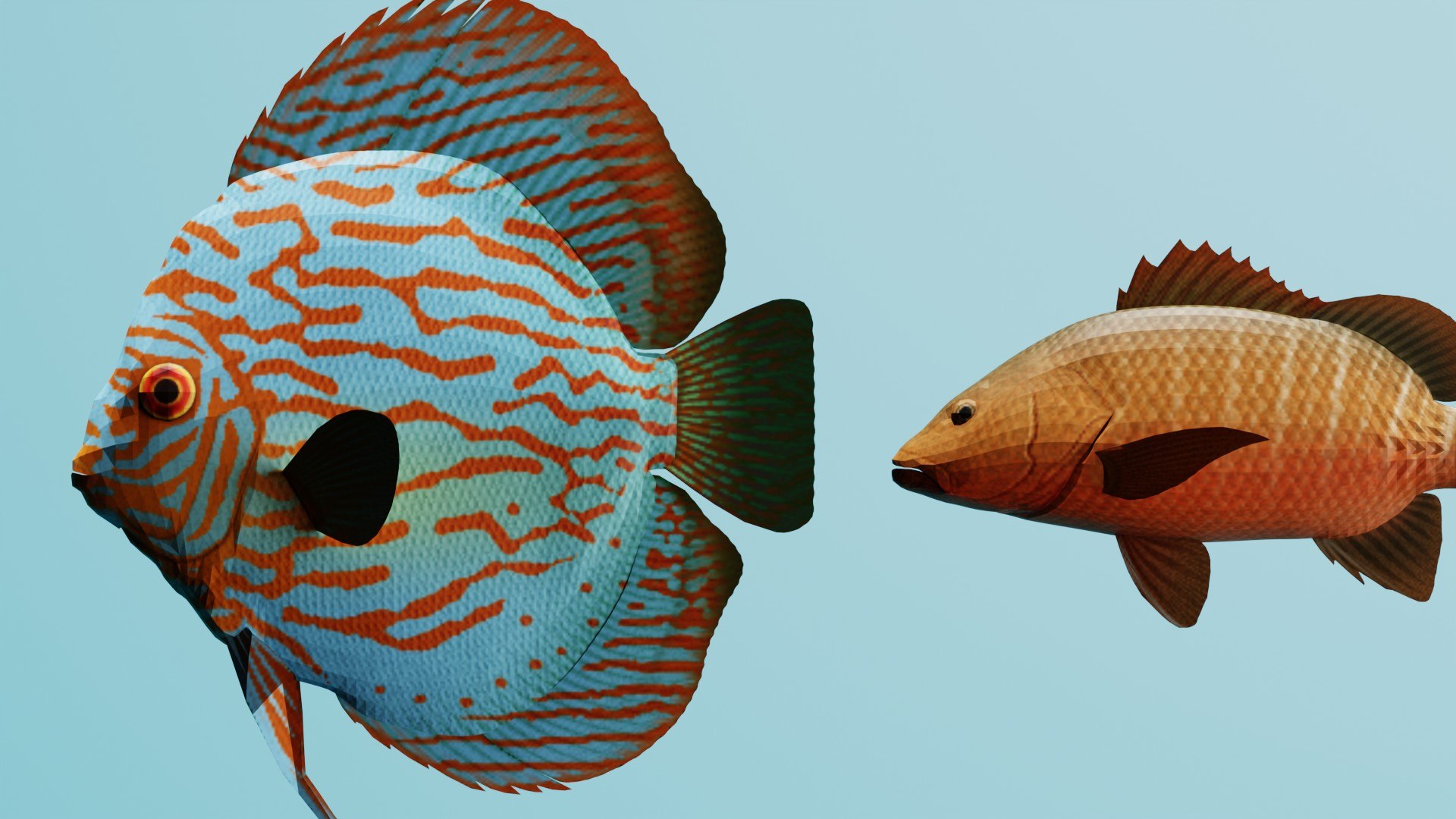 3D Realistic Tropical Marine Fish 3D Model Collection PBR Materials  Full UVs https://p.turbosquid.com/ts-thumb/mR/YLSIgz/RC/6/jpg/1779120149/1920x1080/fit_q87/907cfed5b0154ab9734ce90cb526b5a6c6e698e9/6.jpg