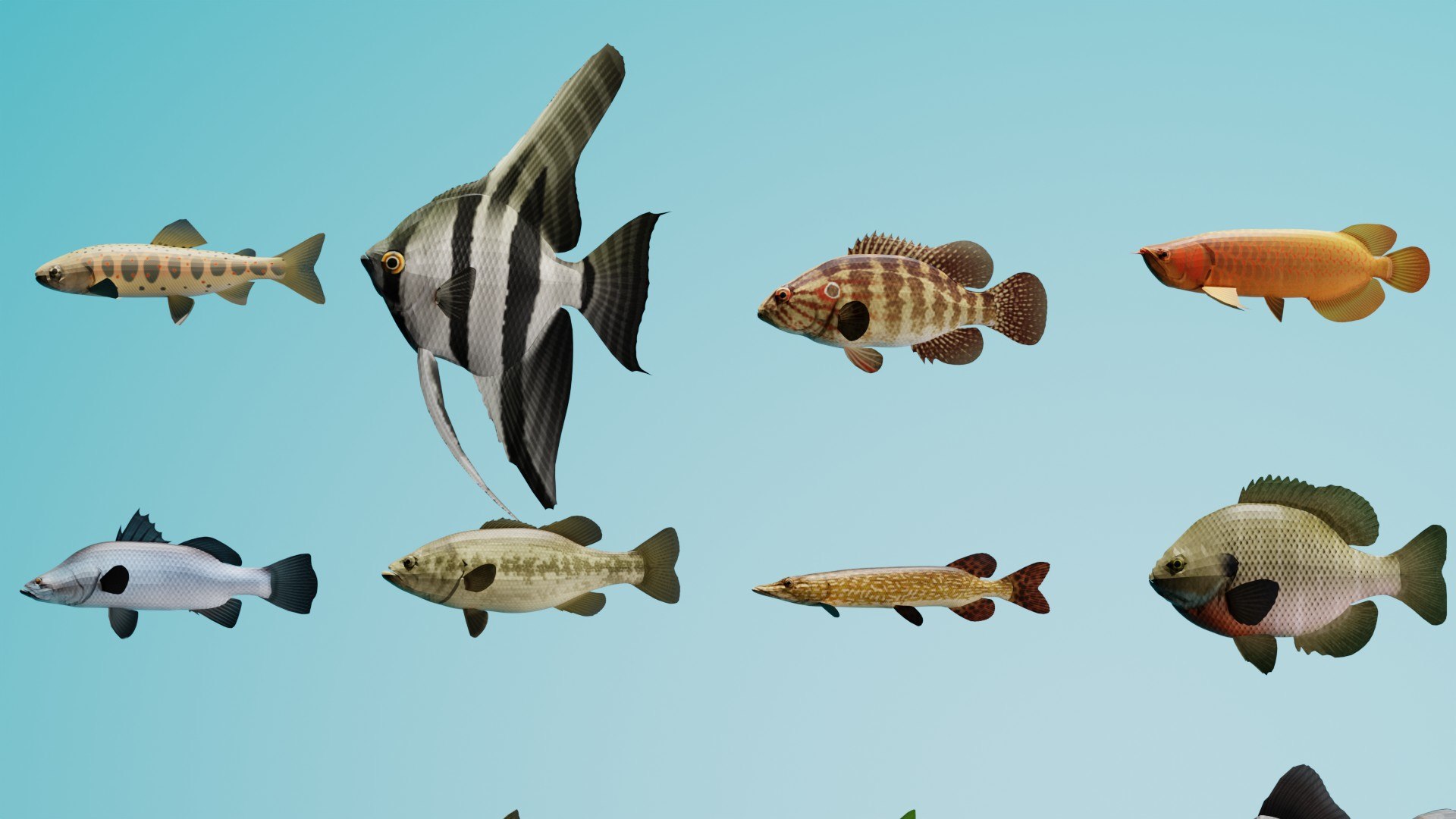 3D Realistic Tropical Marine Fish 3D Model Collection PBR Materials  Full UVs https://p.turbosquid.com/ts-thumb/mR/YLSIgz/f7/3/jpg/1779120146/1920x1080/fit_q87/7b8b0e39901db04d6be92cf992f8b8c8f9ad1835/3.jpg