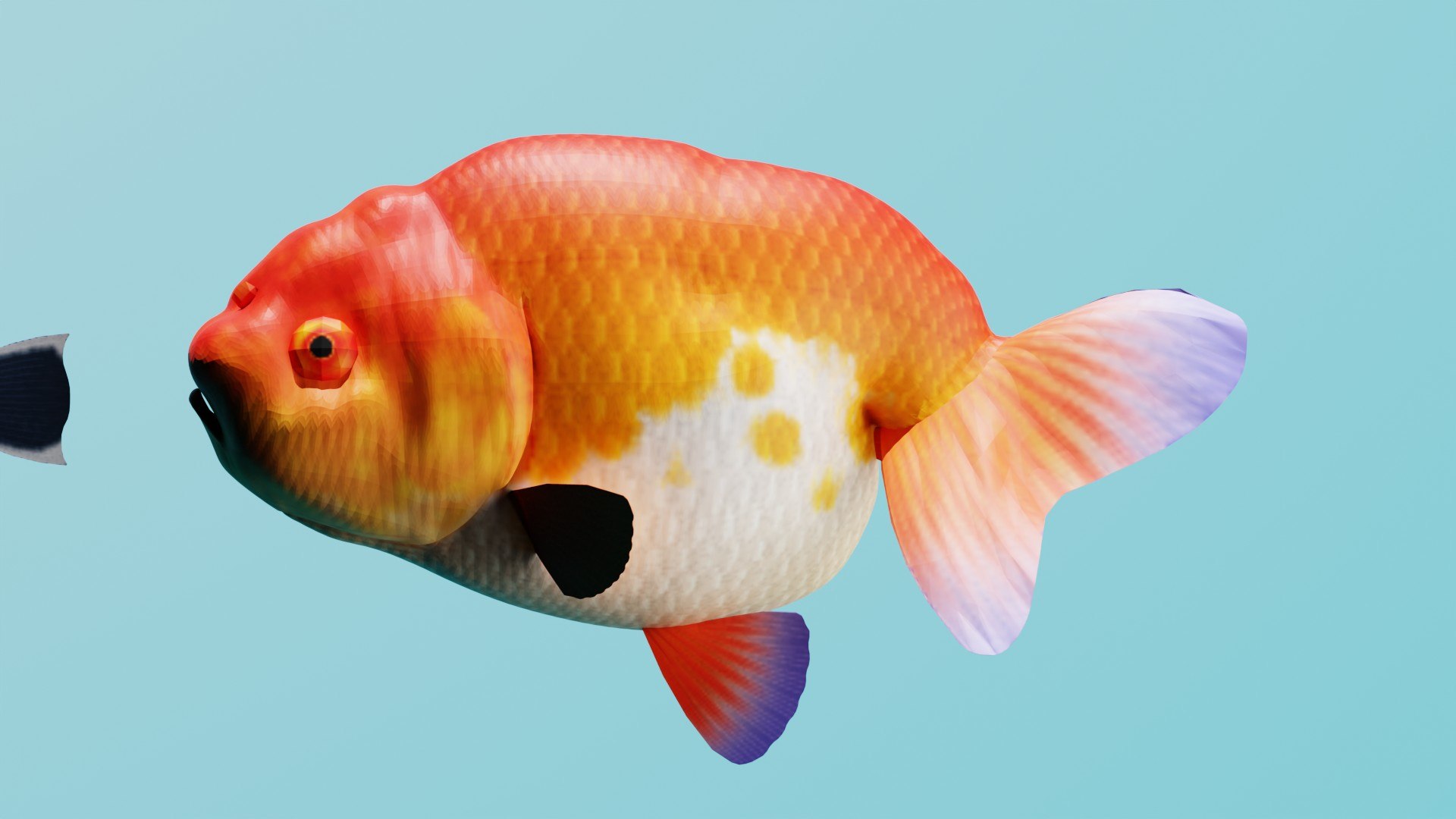 3D Realistic Tropical Marine Fish 3D Model Collection PBR Materials  Full UVs https://p.turbosquid.com/ts-thumb/mR/YLSIgz/ma/4/jpg/1779120147/1920x1080/fit_q87/c0295fea7848901522da6e1ffd88ccd5bd0c2abc/4.jpg