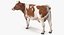 3D model red white cow