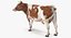 Animali da fattoria Grande collezione 5