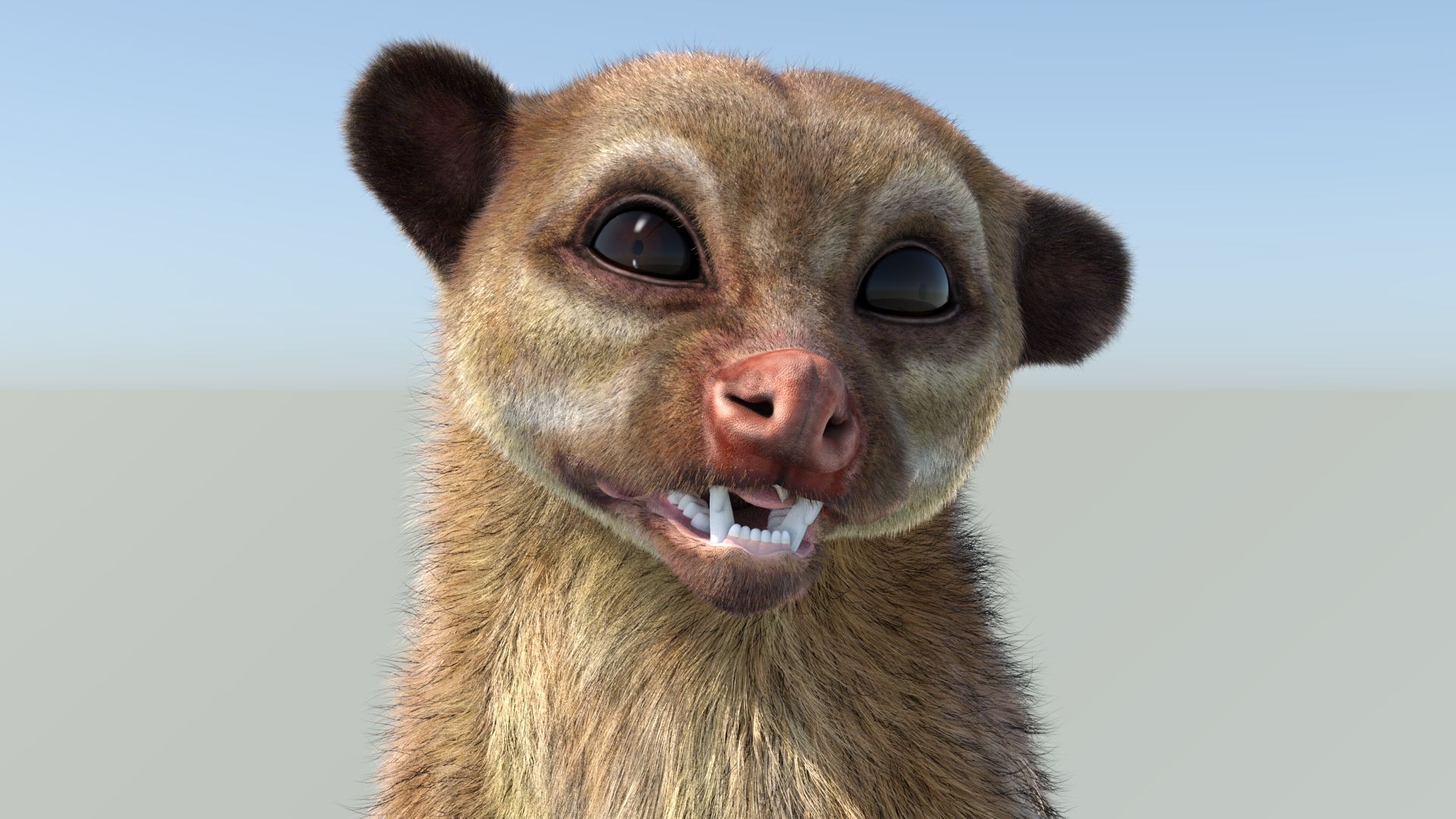 Animated Furry Kinkajou 2 3D Model - TurboSquid 2066685