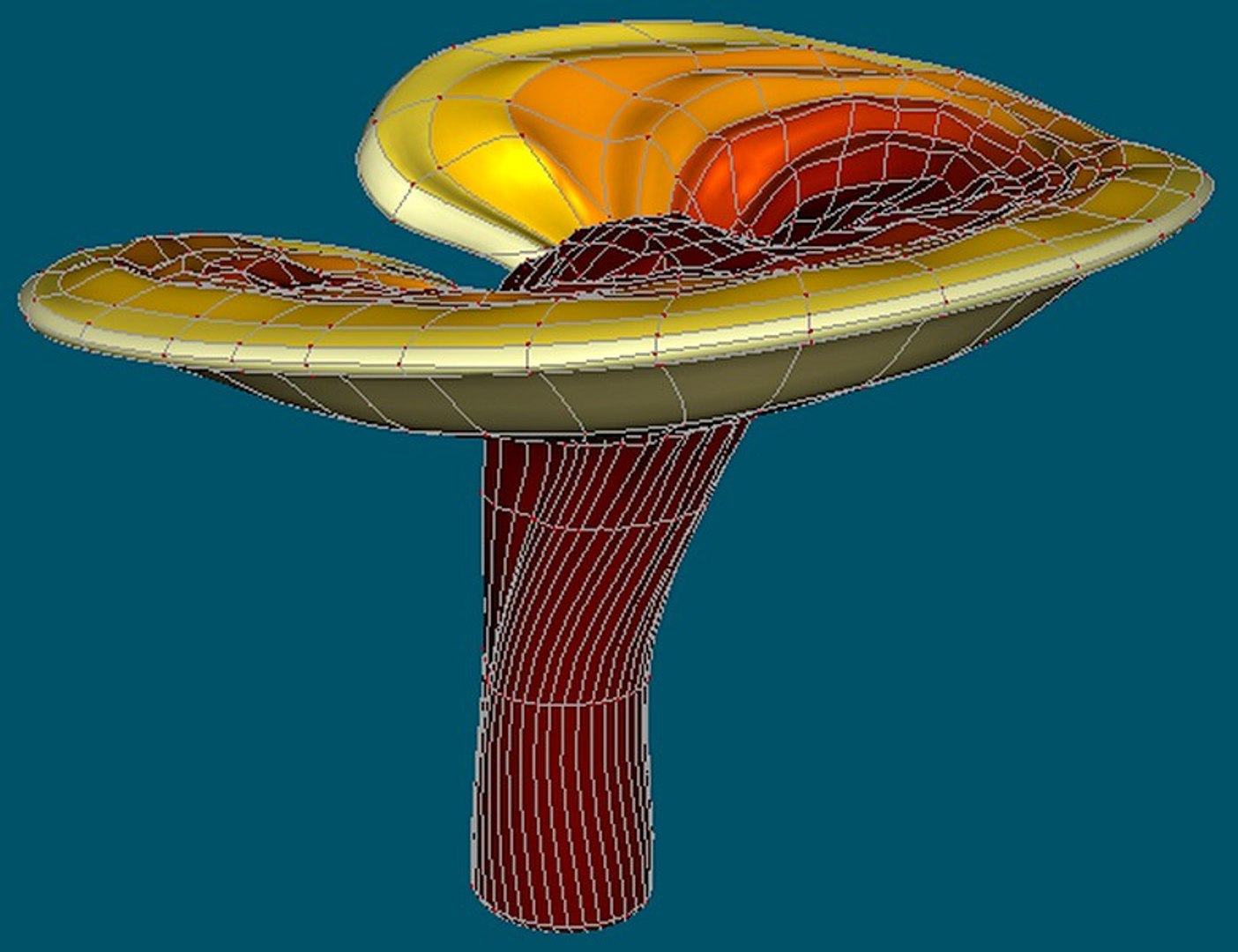 Ganoderma Lucidum 3d Model