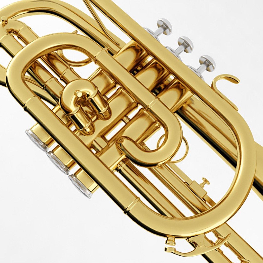 Cornet Musical Instrument 3D Model - TurboSquid 1490763