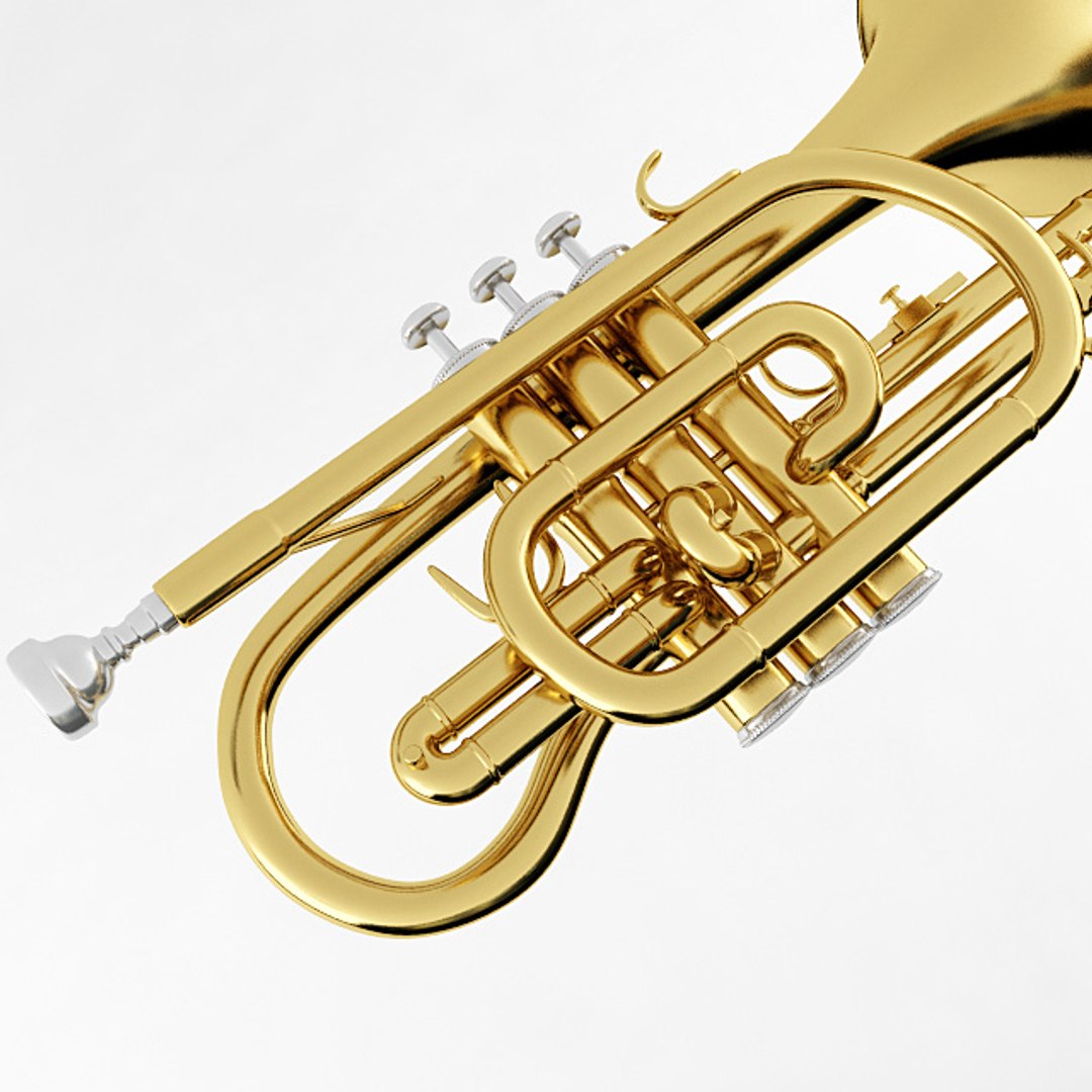 Cornet Musical Instrument 3D Model - TurboSquid 1490763
