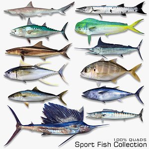 Sport Fish Collection