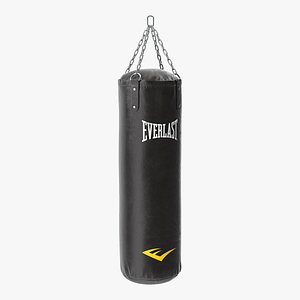 Everlast Punching Bag