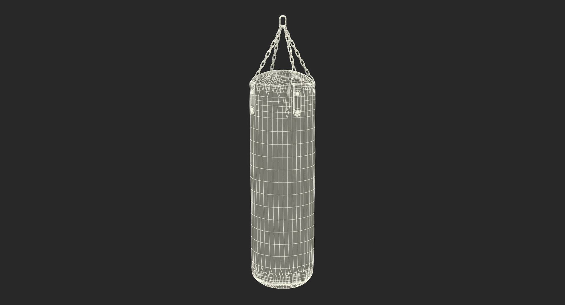 3D everlast punching bag model https://p.turbosquid.com/ts-thumb/mS/ZC1OUY/JCtA7cTt/everlast_punching_bag_361/jpg/1531542761/1920x1080/turn_fit_q99/db261be2965f52be3aedebd18666446c8bc5cd71/everlast_punching_bag_361-1.jpg