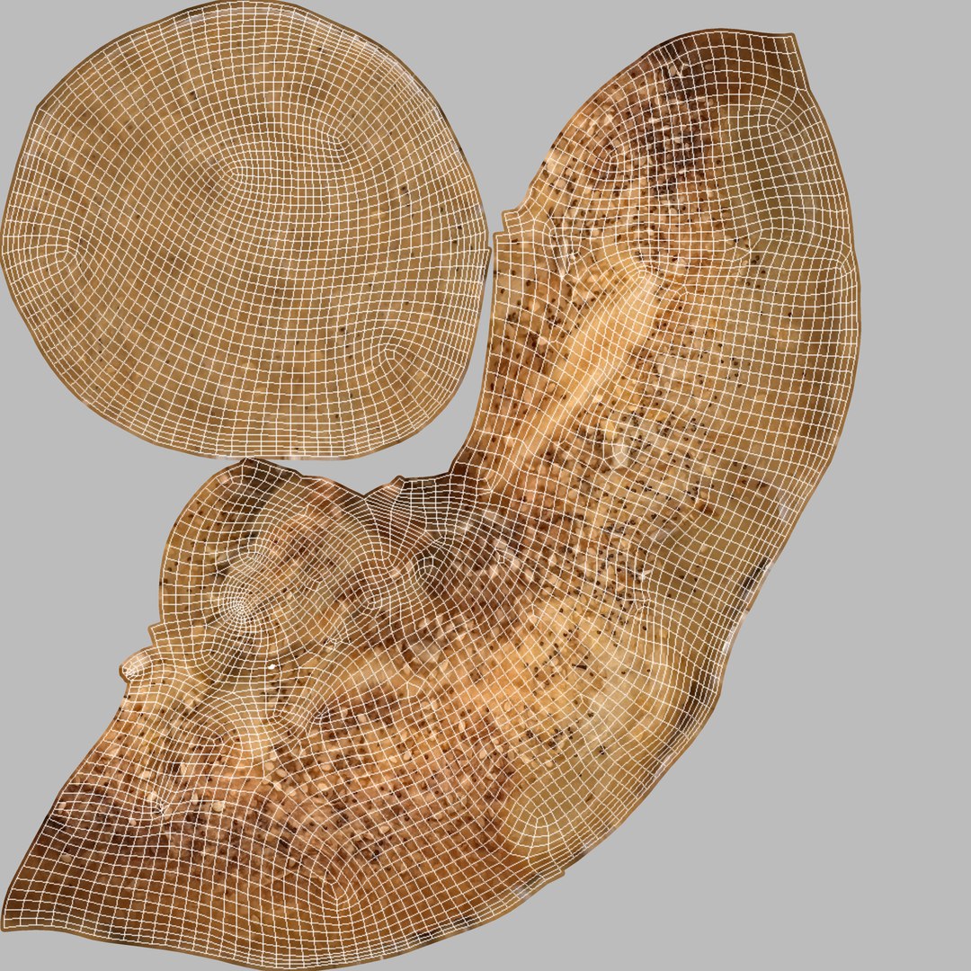 Everything Bagel 3D model https://p.turbosquid.com/ts-thumb/mS/Zci5Rx/ps/uveverything/jpg/1618537878/1920x1080/fit_q87/38c78f875a16da56a88ffa3995e2556344e91308/uveverything.jpg