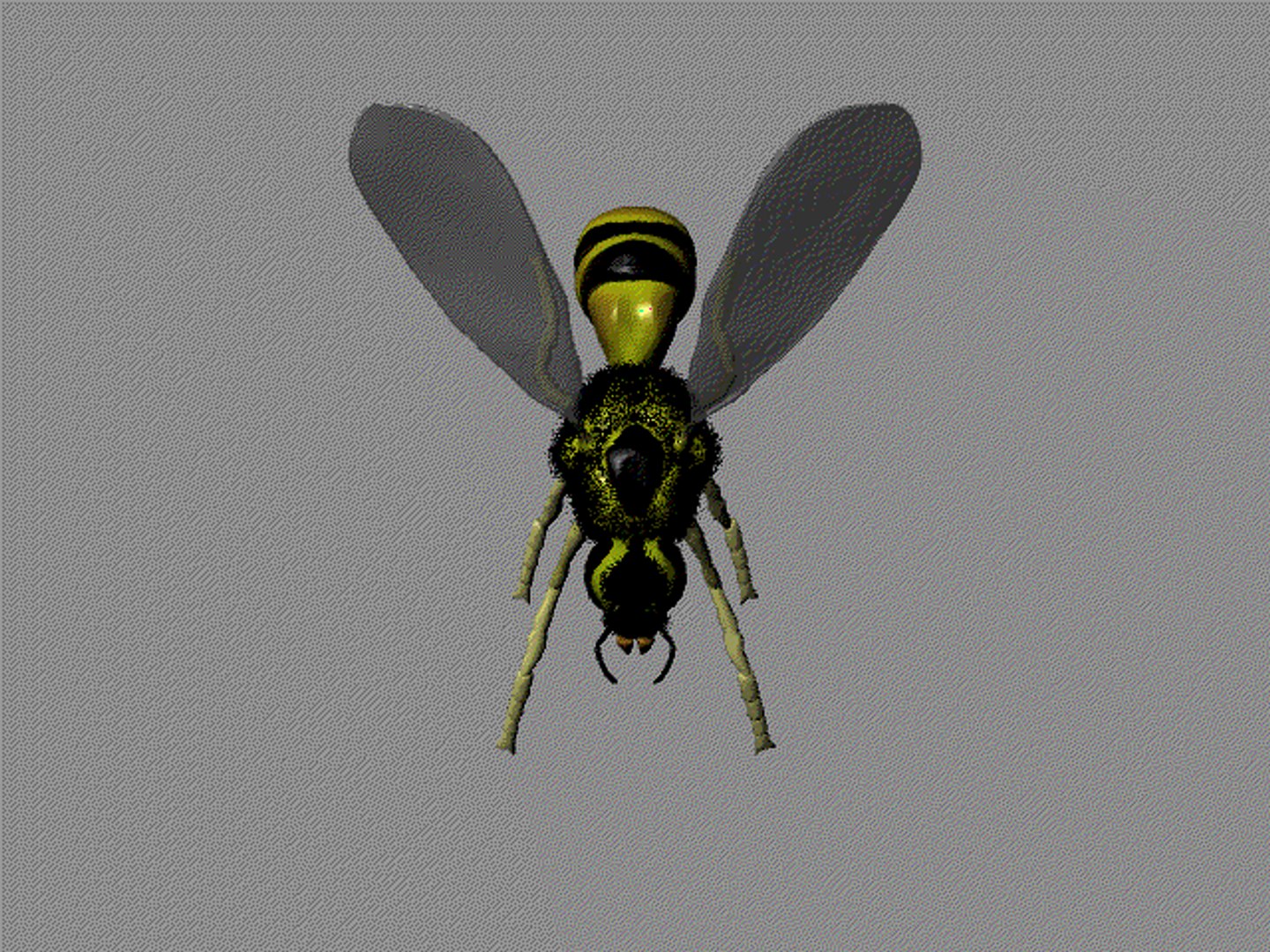 Free Wasp 3d Model