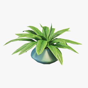 3D model Stylized House Plant 20