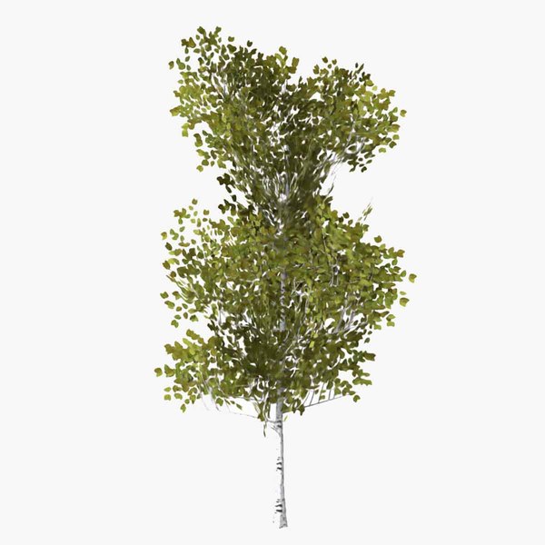 Pyrus summer 3D model - TurboSquid 1626021