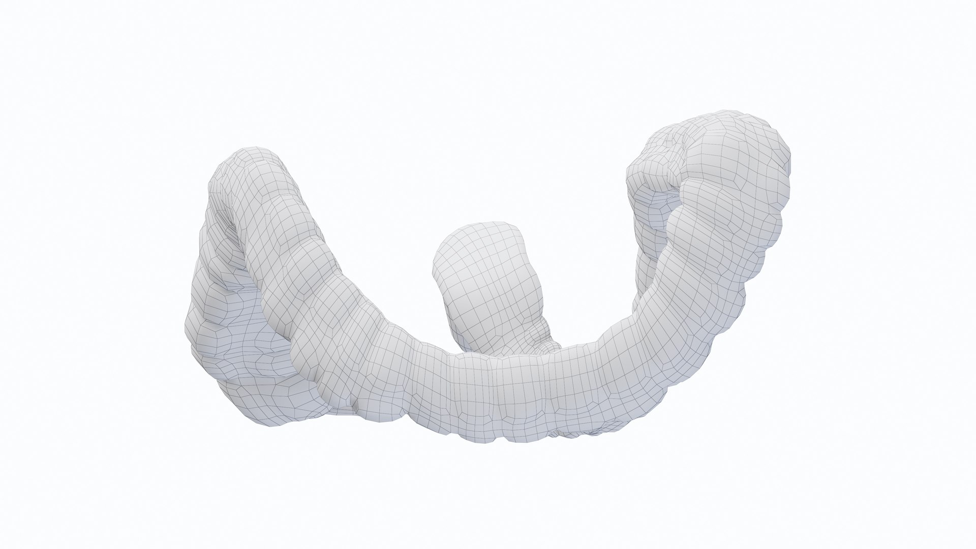3D Colon - TurboSquid 2200813
