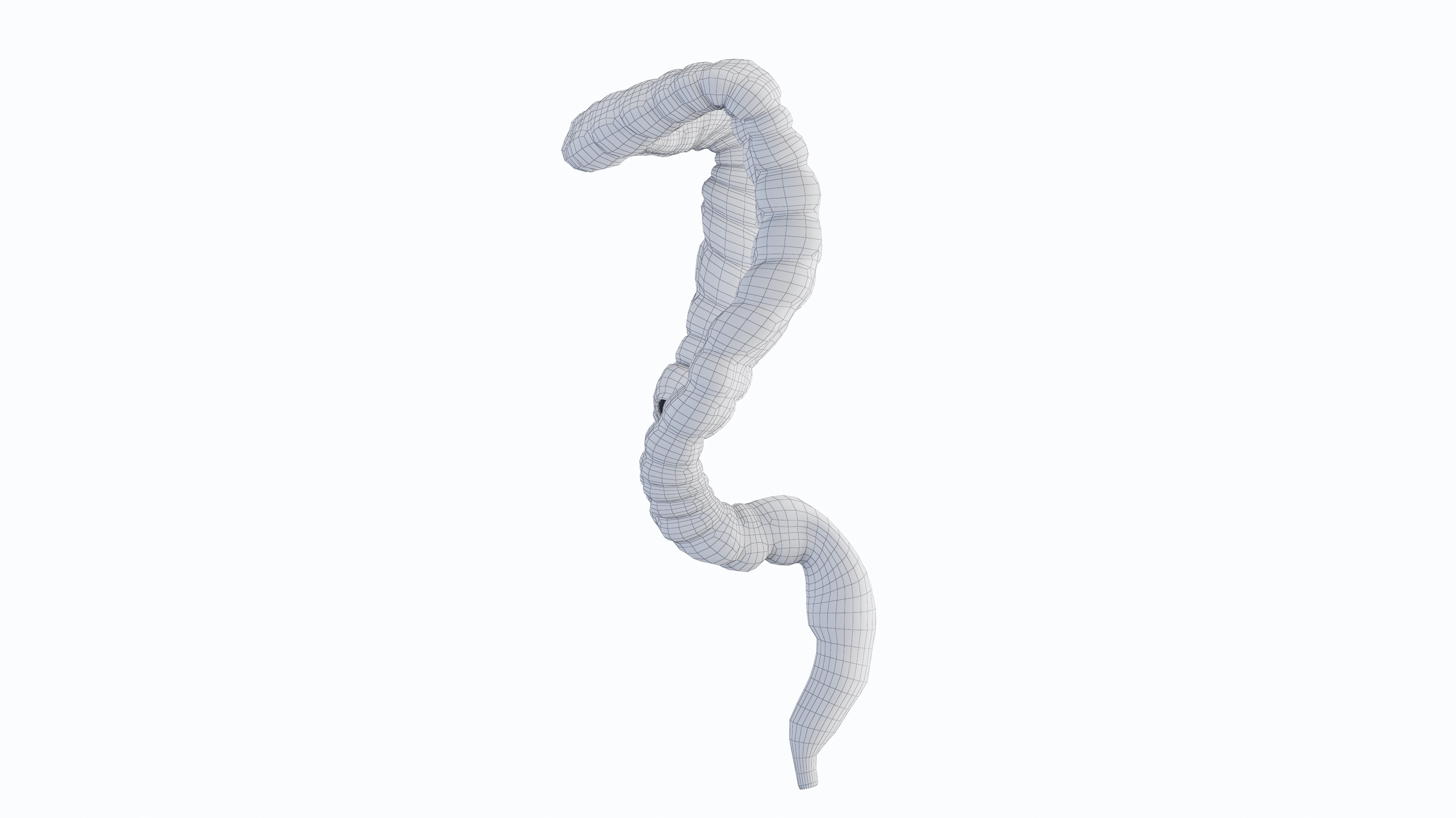 modelo 3d Colon - TurboSquid 2200813