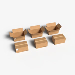 Cardboard Box  Large  Open  Closed Mini Pack PBR