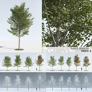 trees 8 3D model