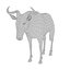 Wildebeest