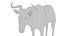 Wildebeest