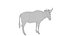 Wildebeest