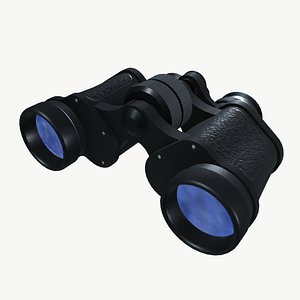 3D Binocular model
