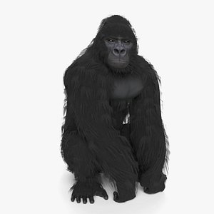 gorilla animal primate 3D model
