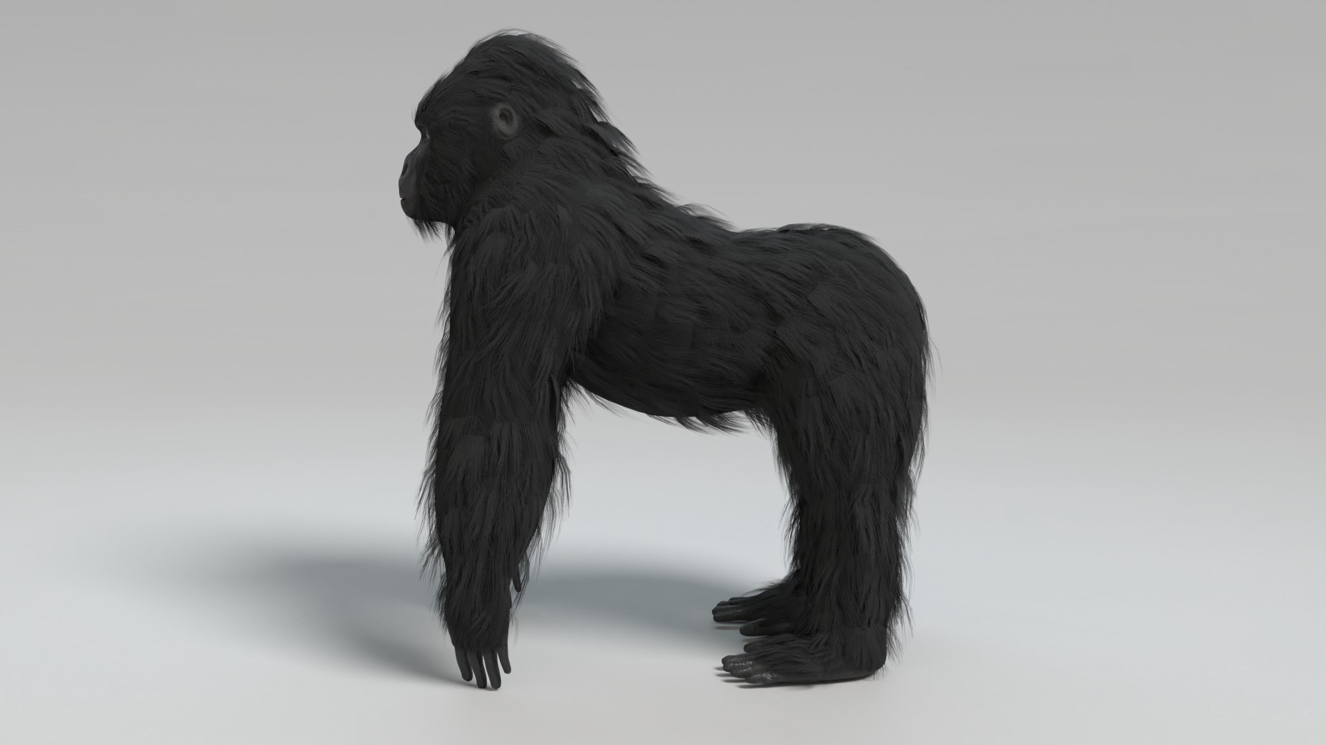 gorilla animal primate 3D model https://p.turbosquid.com/ts-thumb/mS/zvYNtE/JR/gorilla_images0013/png/1611093867/1920x1080/fit_q87/49d2566e6a53715f2f4c40c6f2e60aaa1c764fef/gorilla_images0013.jpg