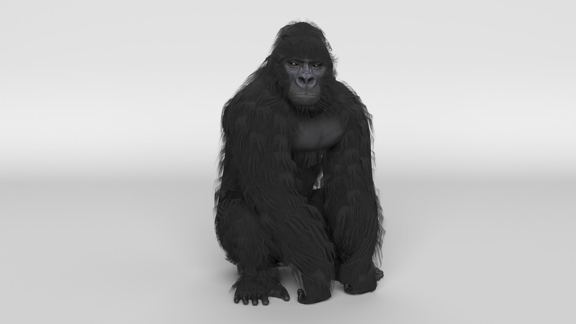 gorilla animal primate 3D model https://p.turbosquid.com/ts-thumb/mS/zvYNtE/Qw/gorilla_thumbnail_color_fur/png/1611084240/1920x1080/fit_q87/128b8326ed94c4c6b7214d21f60022b335d11079/gorilla_thumbnail_color_fur.jpg