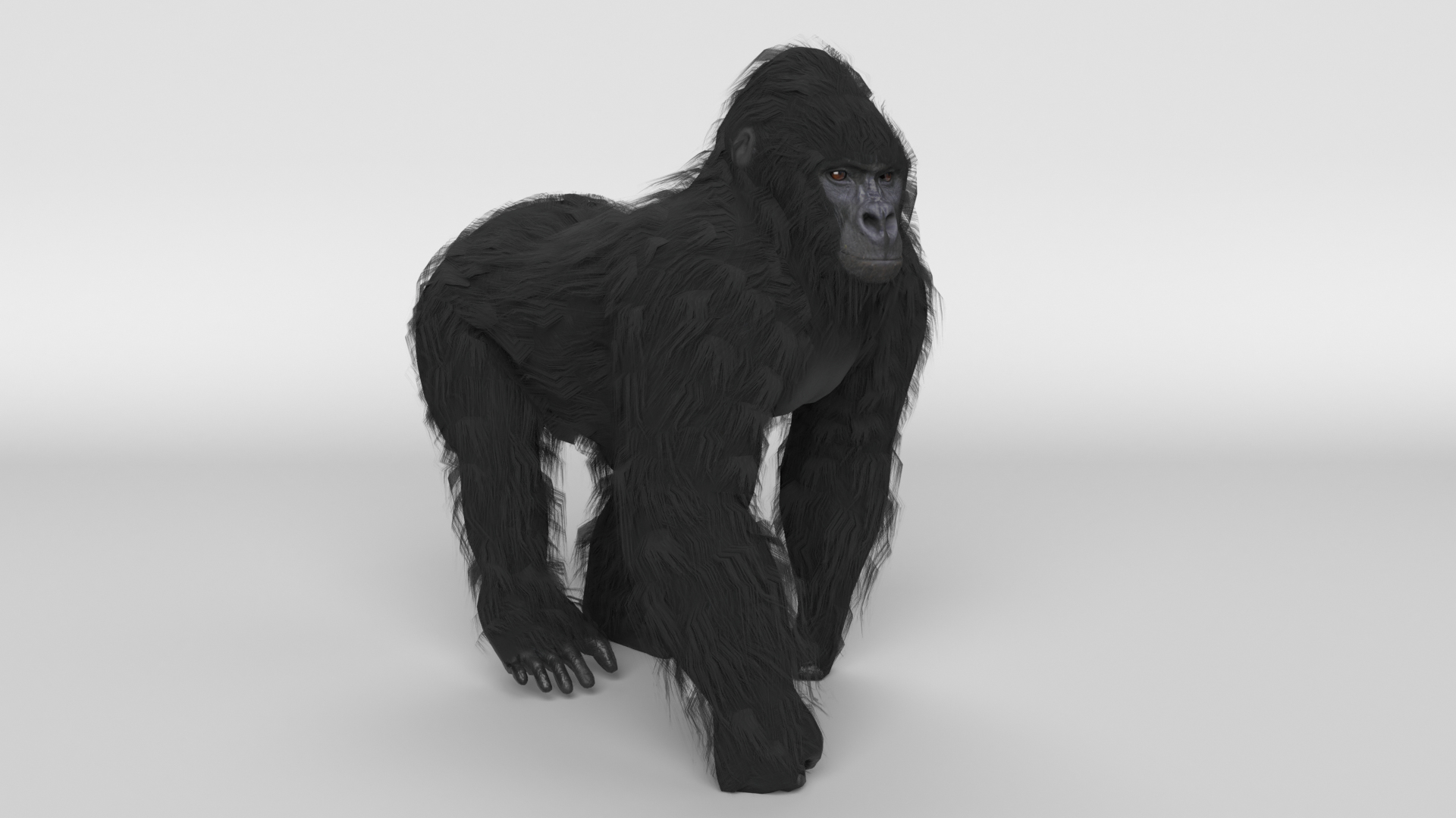 gorilla animal primate 3D model https://p.turbosquid.com/ts-thumb/mS/zvYNtE/We/gorilla_fur_walking/png/1611085523/1920x1080/turn_fit_q99/4ea0463763fa463109f2d30b79820d545473bbf4/gorilla_fur_walking-1.jpg