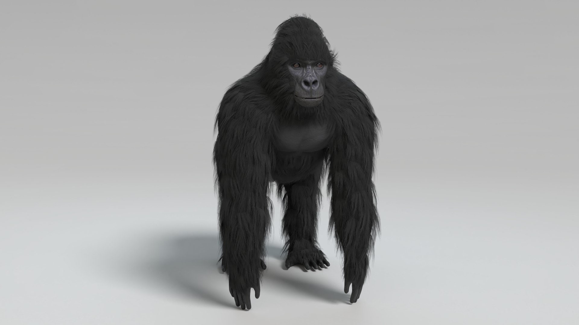 gorilla animal primate 3D model https://p.turbosquid.com/ts-thumb/mS/zvYNtE/oS/gorilla_images0018/png/1611093868/1920x1080/fit_q87/15a11f2702a44932e4c16fb6d2b89ecfa814708c/gorilla_images0018.jpg