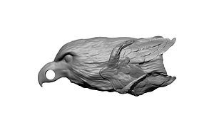 falcon eagle head bird 3D model