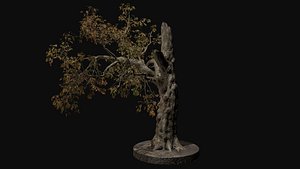 3D model Old Bare broken tree V2
