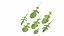 3D model Herbs and Greens 6 in 1