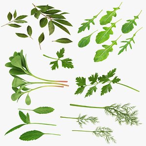 Herbs and Greens 6 in 1