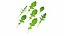 3D model Herbs and Greens 6 in 1