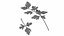 3D model Herbs and Greens 6 in 1