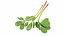 3D model Herbs and Greens 6 in 1