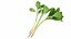 3D model Herbs and Greens 6 in 1