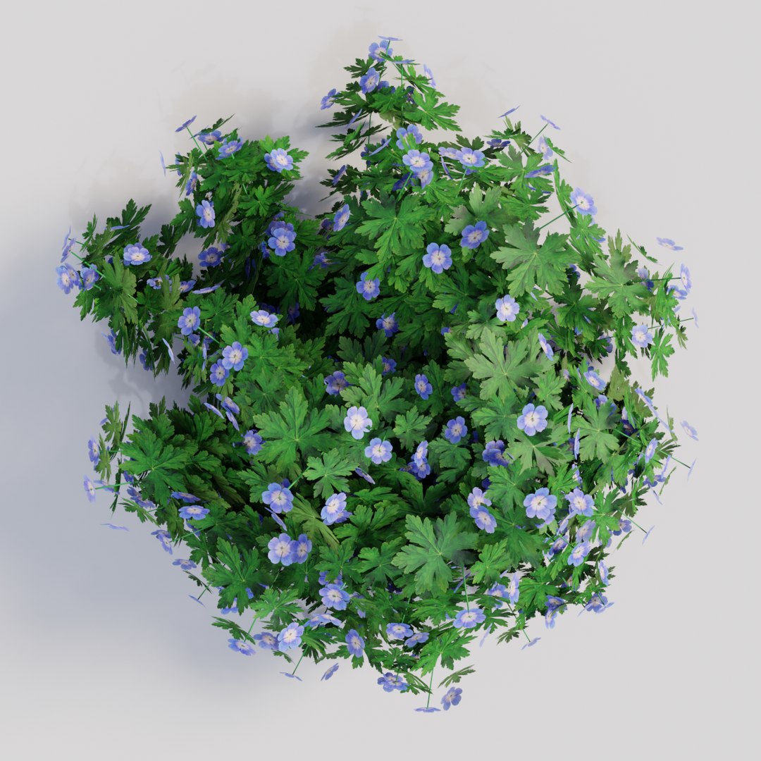 geranium rozanne model https://p.turbosquid.com/ts-thumb/mT/R4eVnw/4FteHfwE/original0002/png/1577792676/1920x1080/fit_q87/abc3b4ebc2517ba9d1b8384ced197143de7bc658/original0002.jpg