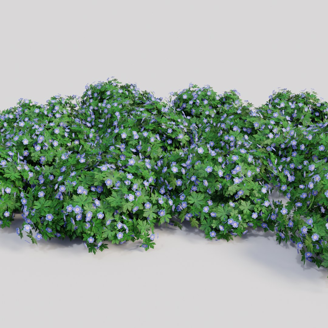 geranium rozanne model https://p.turbosquid.com/ts-thumb/mT/R4eVnw/Xvtxhmsb/original0004/png/1577792697/1920x1080/fit_q87/54765509625b931f1980fcce5aeaf5da84c9f53a/original0004.jpg