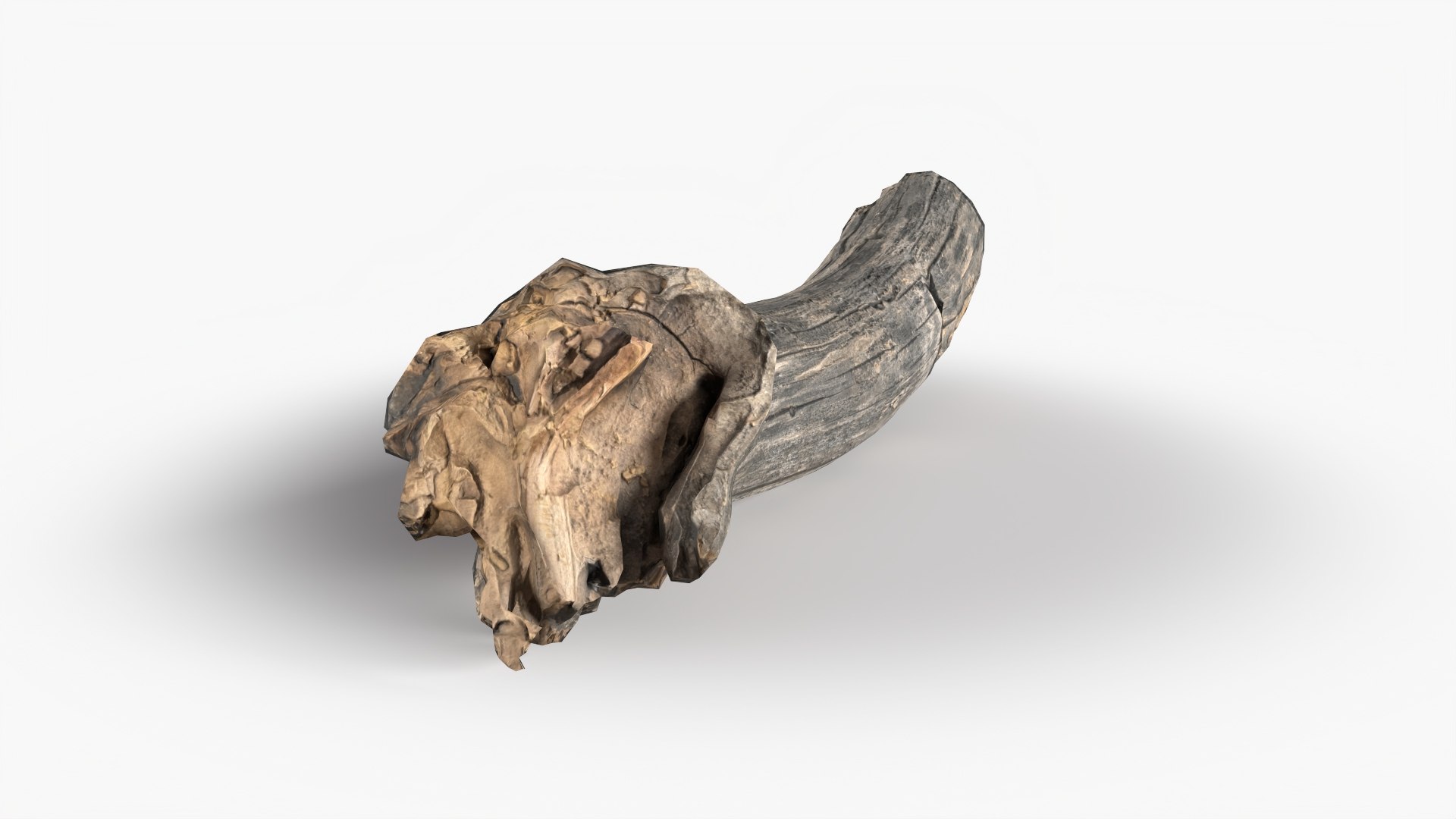 3D Branch Scanned 1 StemCell model https://p.turbosquid.com/ts-thumb/mT/Udo0NQ/rp/branch_1_p01/jpg/1726124537/1920x1080/fit_q87/d3c210fdd99e068884c6f2e2d719fa530a962dbc/branch_1_p01.jpg
