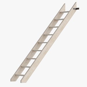Ladder with mounting 3D model