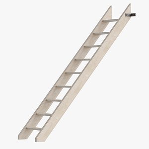 Ladder with mounting