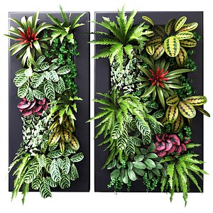 Wall plants