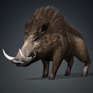 Boar-A2 3D model