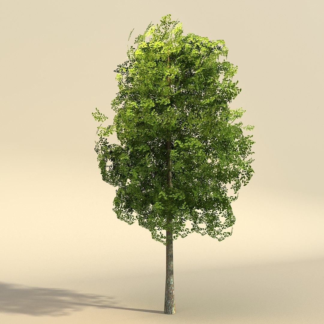 3d set elm trees polygonal https://p.turbosquid.com/ts-thumb/mT/vqR05i/Z4gpgnWH/elm_sm_02/jpg/1400505693/1920x1080/fit_q87/c78d8dc4eda4c6d613758207ac82a42bcaf69964/elm_sm_02.jpg