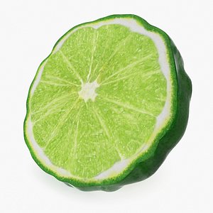 Bergamot Slice model