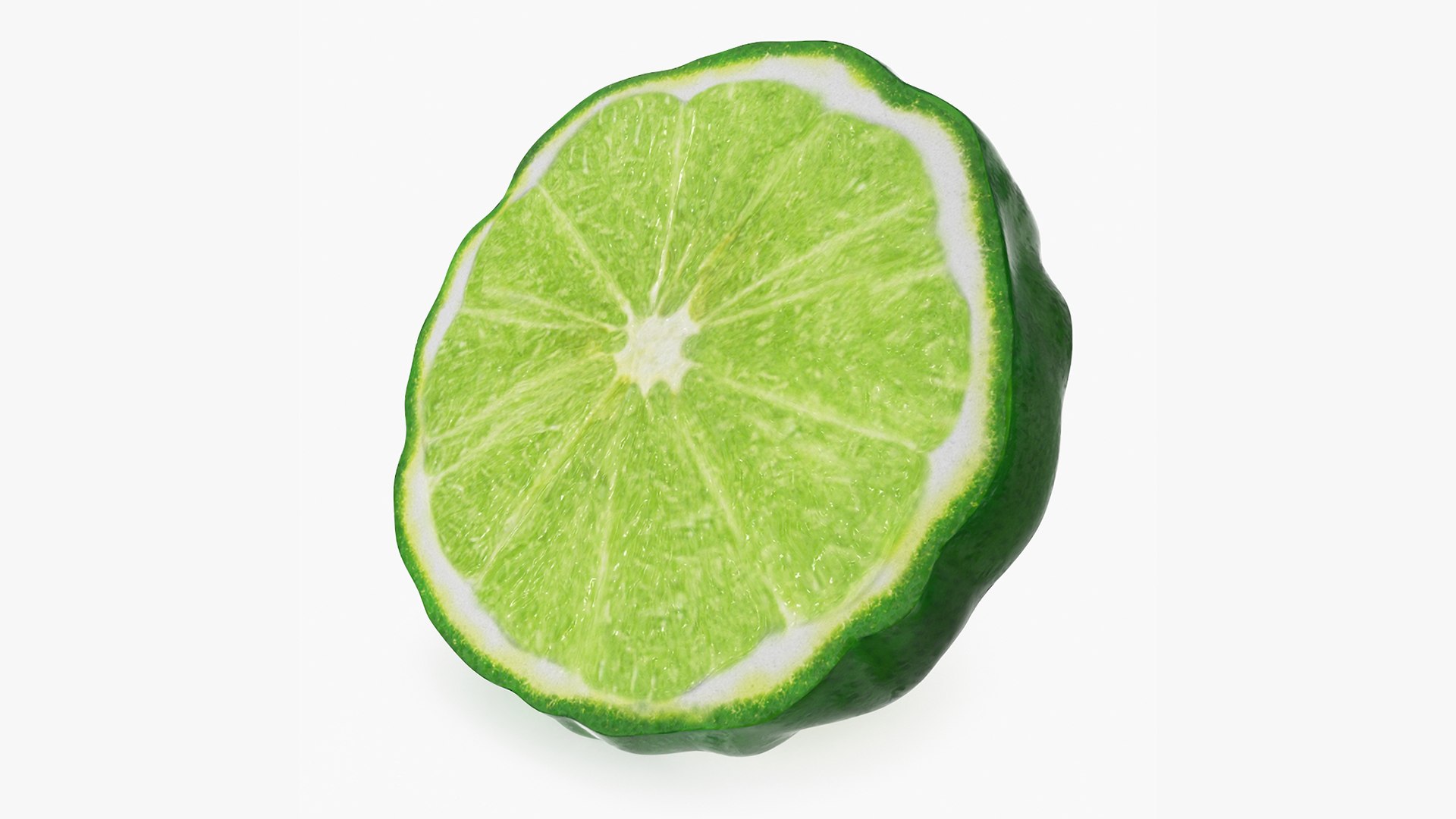 Bergamot Slice 3D model preview