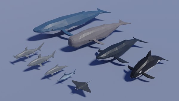 3D sea animals - TurboSquid 1660491
